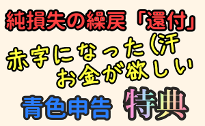 純損失の繰戻還付　繰越控除